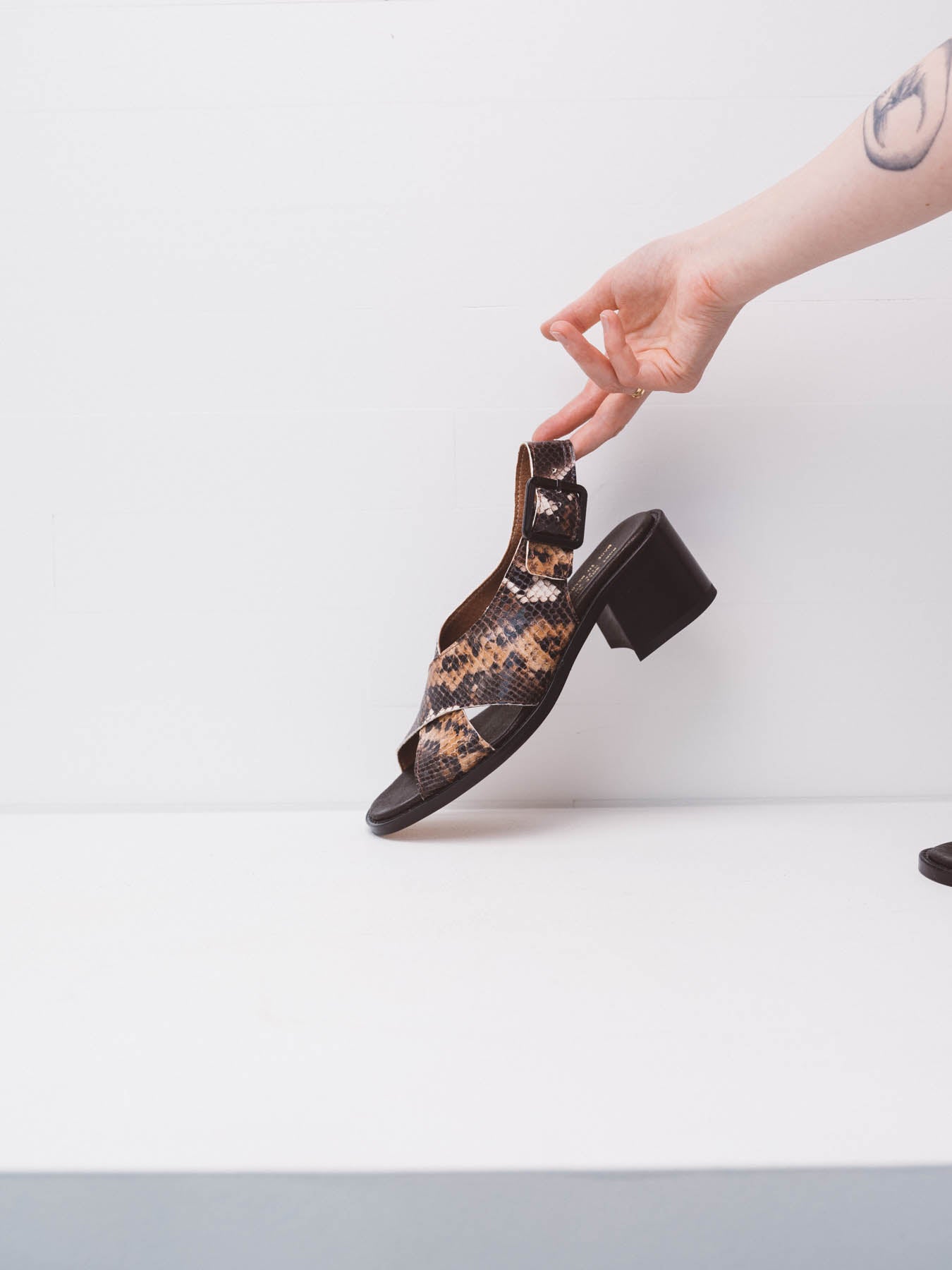 Crossing High Chocolate Snake