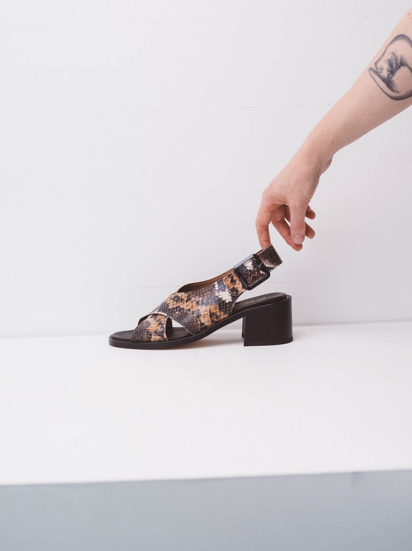 Crossing High Chocolate Snake