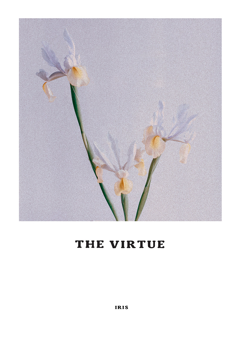 The Virtue Parfum 15ml