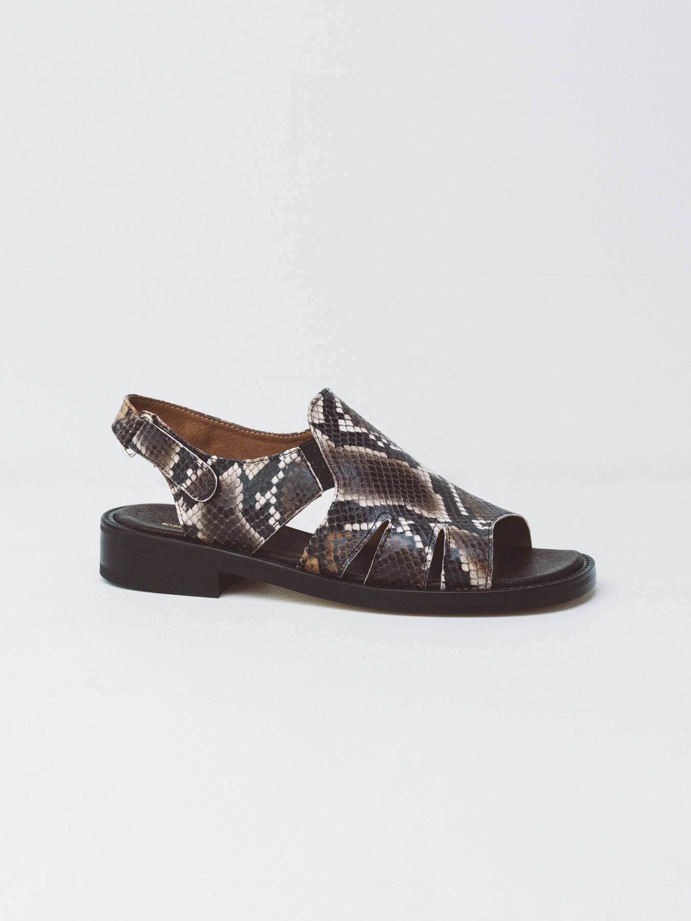 Junction Chocolate Snake