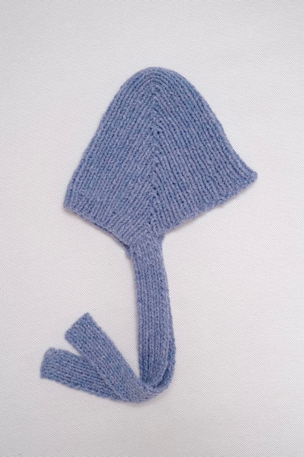 Blue Bonnet